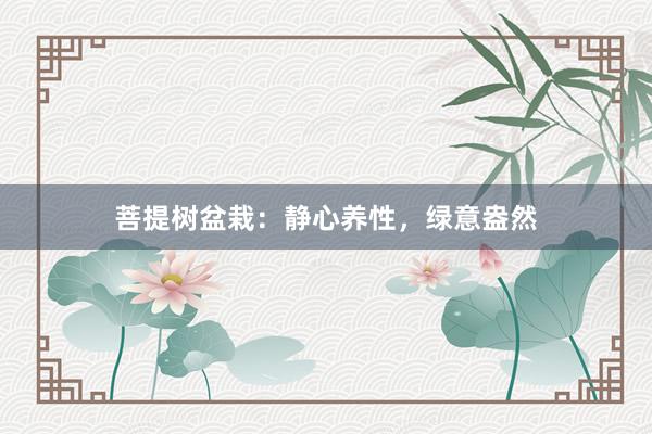 菩提树盆栽：静心养性，绿意盎然